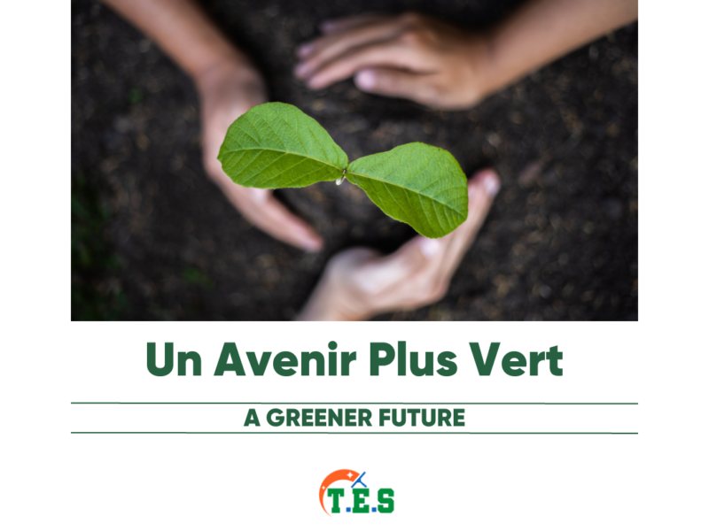 Créer un Avenir Plus Vert : Notre Engagement en Faveur de la Durabilité Environnementale en République du Congo